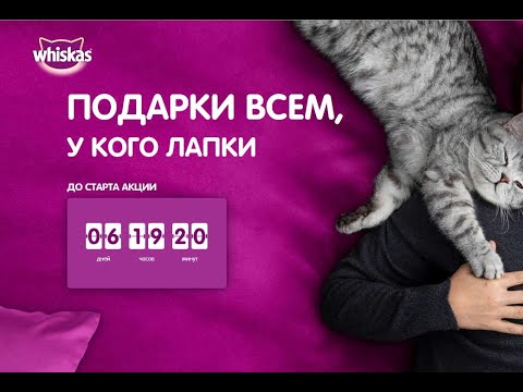 Акция www.catday.ru Вискас: «День кошек 2021» с 1 марта по 30 апреля 2021