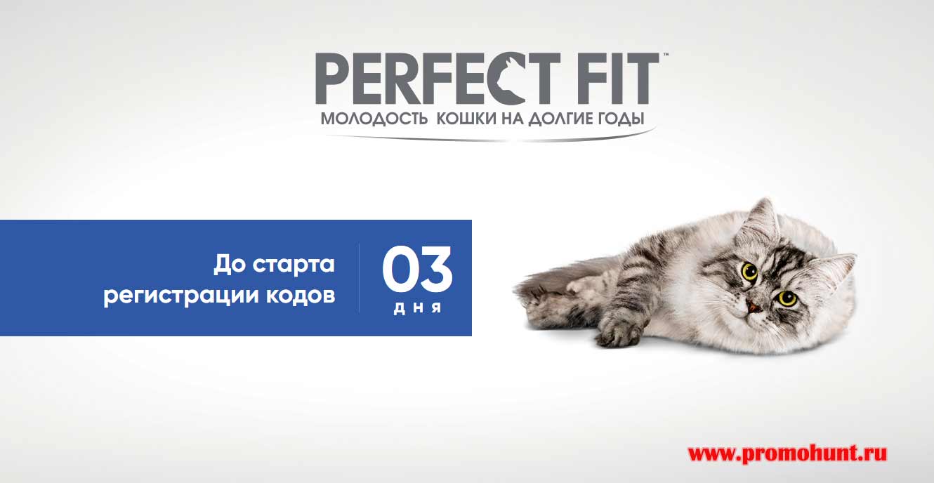 Акция Perfect Fit 2018 на promo.perfectfit.ru