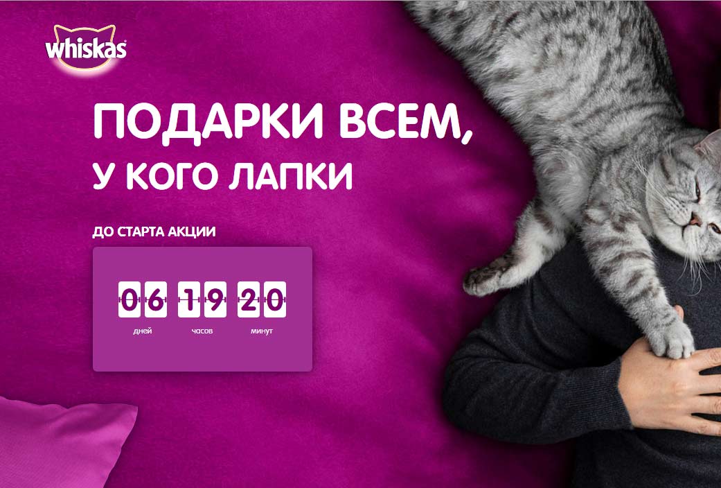 Акция www.catday.ru Вискас: «День кошек 2021» с 1 марта по 30 апреля 2021 |  Регистрация в акциях