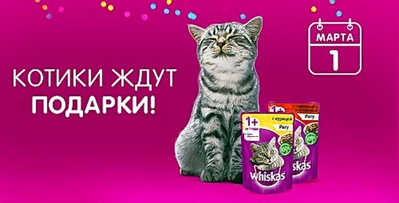 catday.ru регистрация 